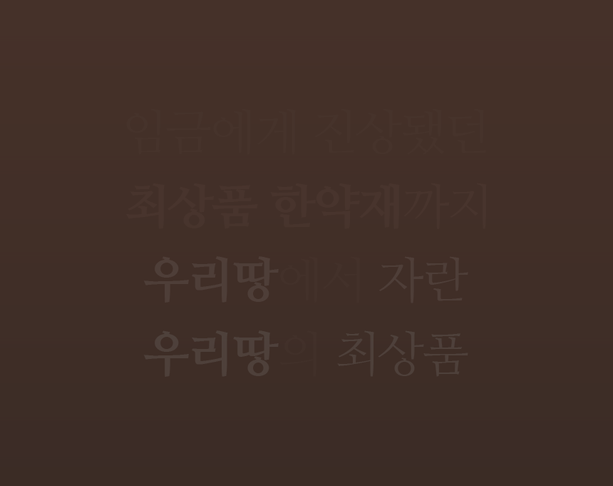 4개월분 4박스 (120포) 노궁동충하초