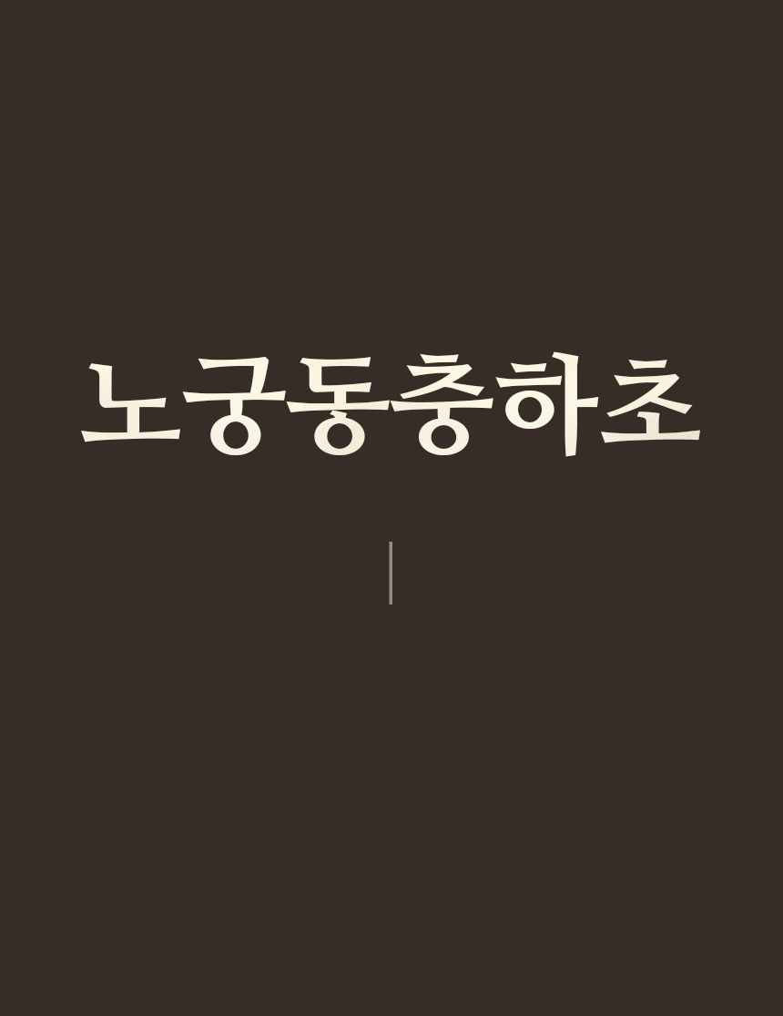 4개월분 4박스 (120포) 노궁동충하초