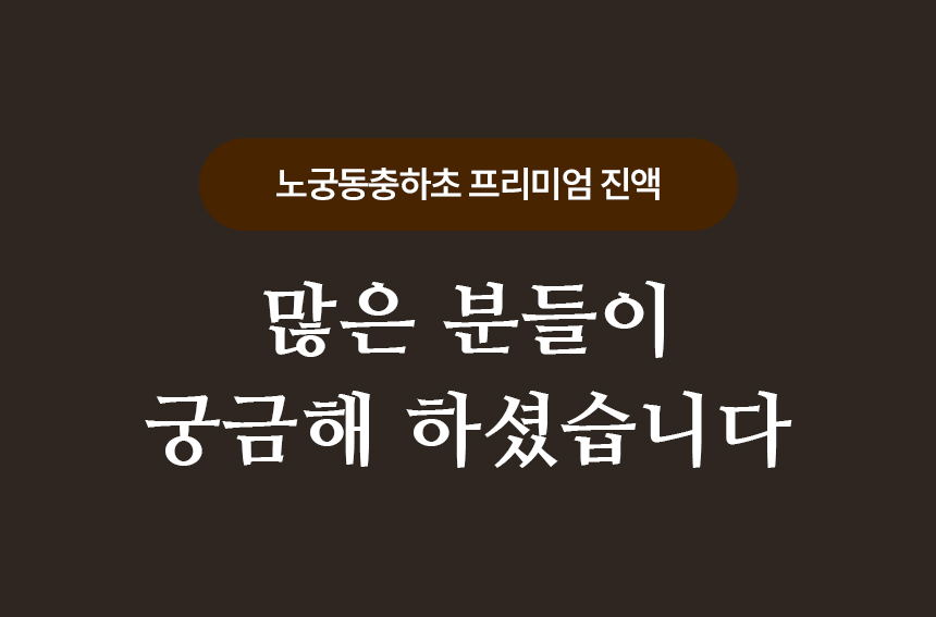 4개월분 4박스 (120포) 노궁동충하초