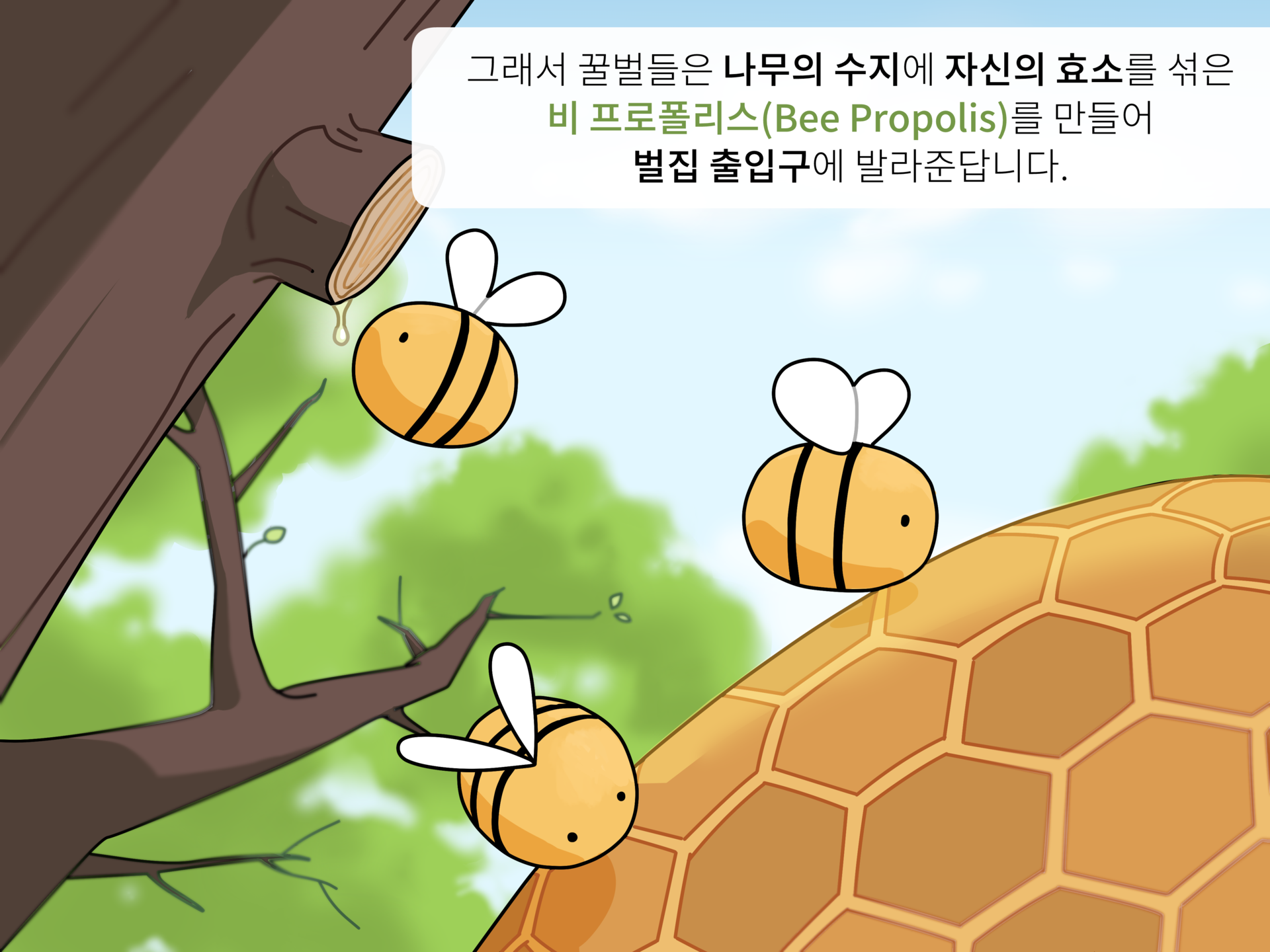 3bc01a87a60b3.png