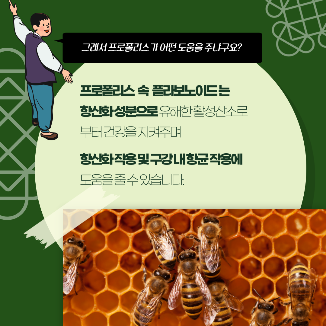 [설특가]명절선물로 프로폴리스를 사야하는 이유! UNIBEE Contact