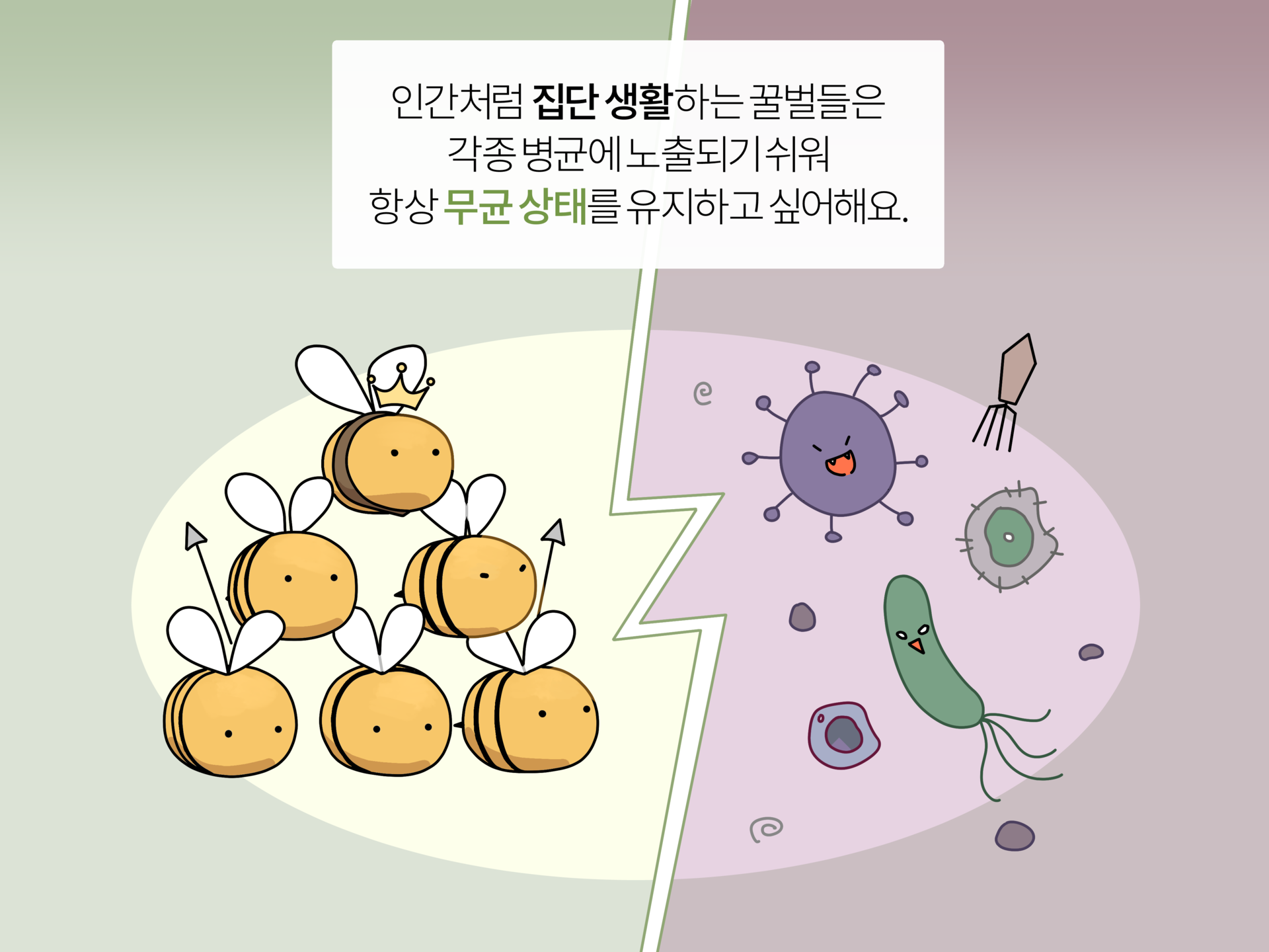 b5295f5071416.png