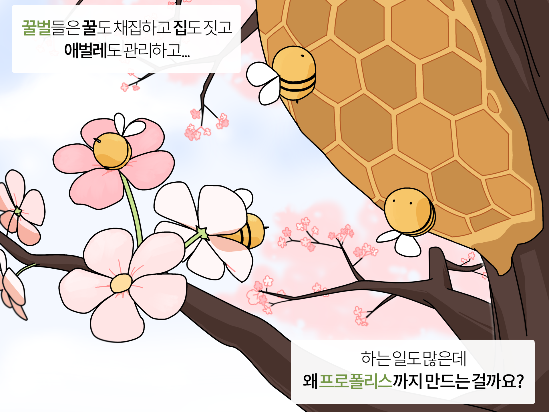 bb1848e8f042d.png