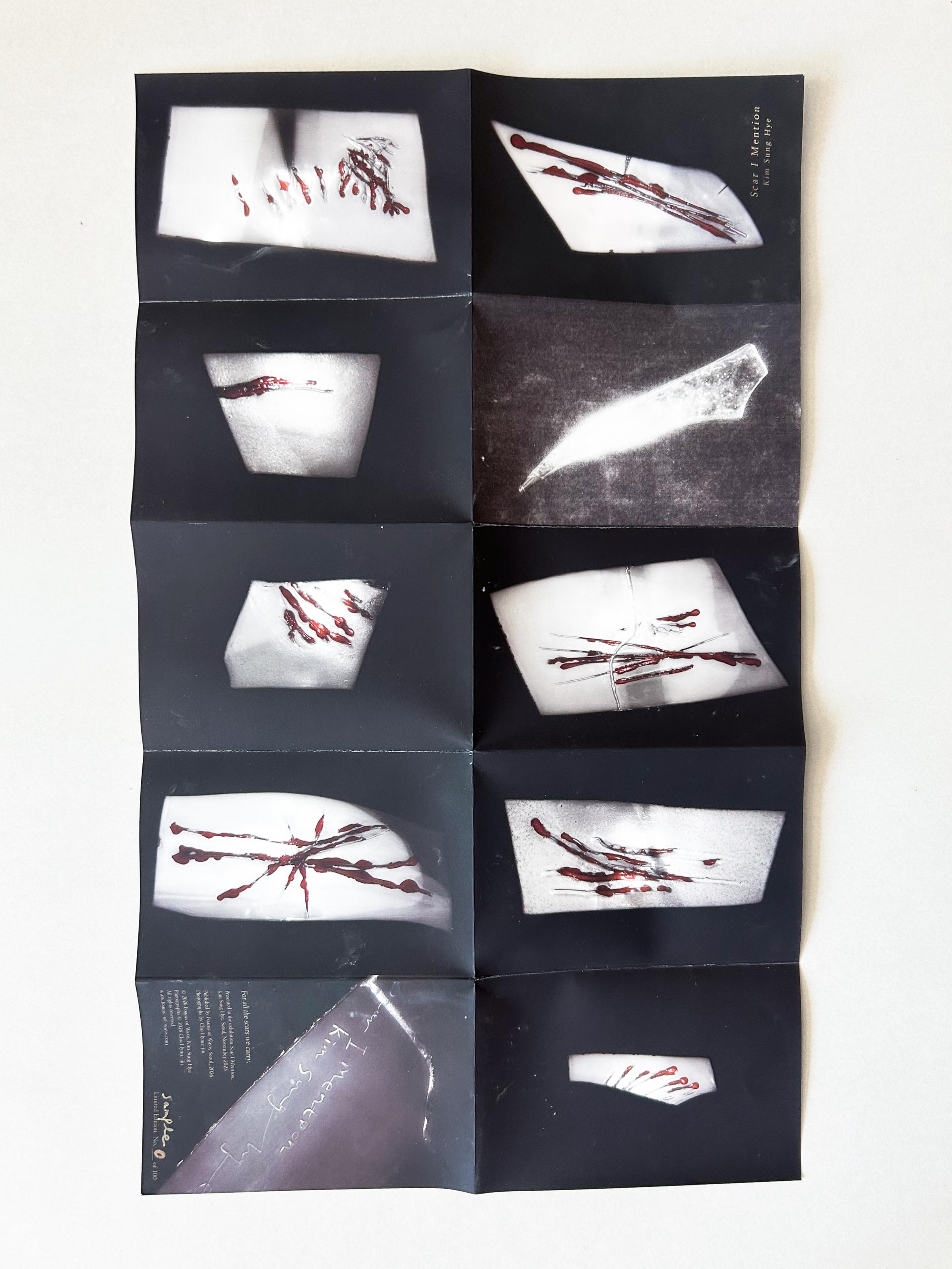 [ZINE&POSTER] Scar I Mention (100 Limited Edtion)