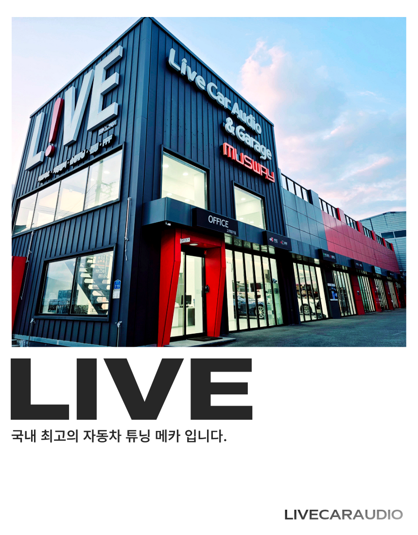 테슬라 카오디오 시스템 LV3