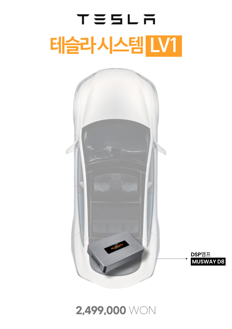 테슬라 카오디오 시스템 LV1