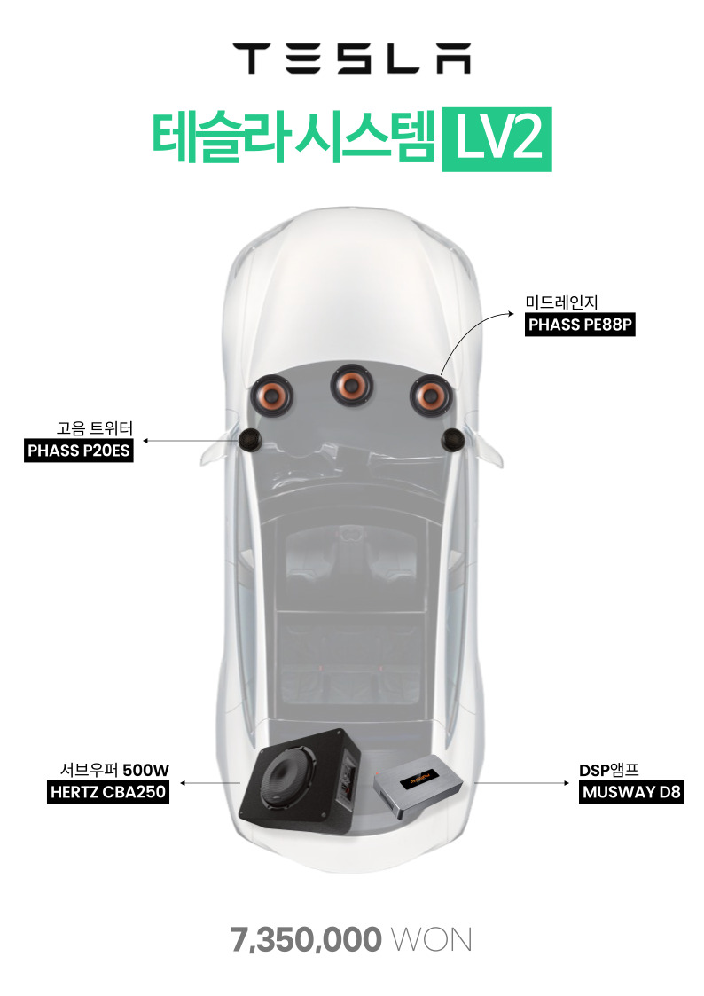 테슬라 카오디오 시스템 LV2