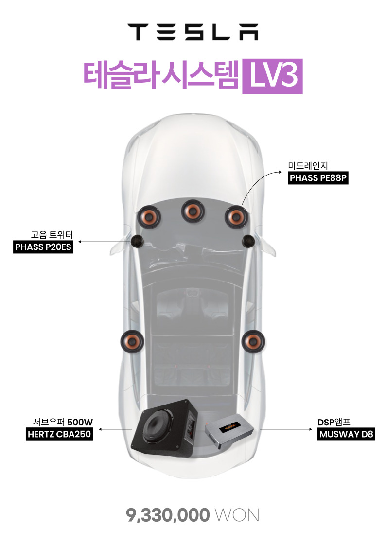 테슬라 카오디오 시스템 LV3
