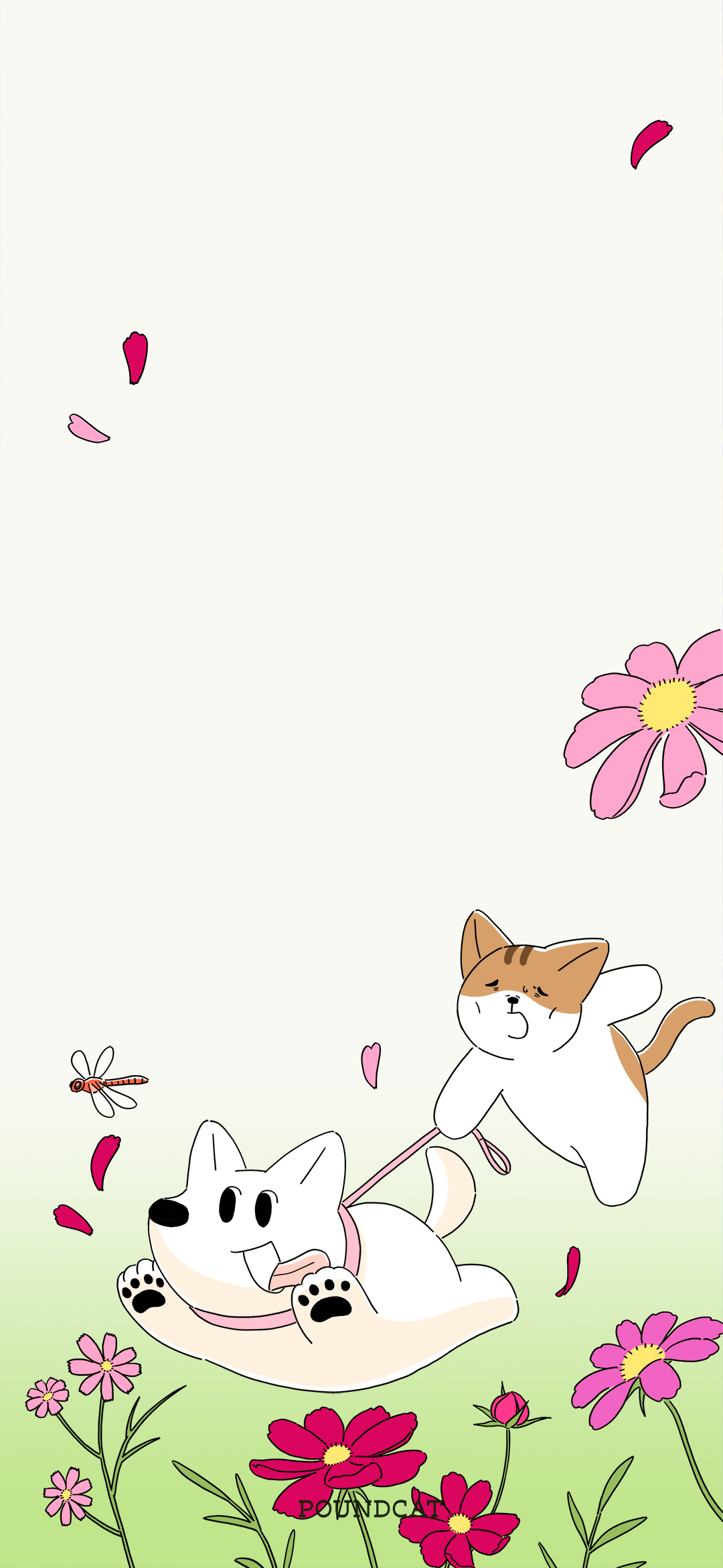 655cdafaaff3b.png