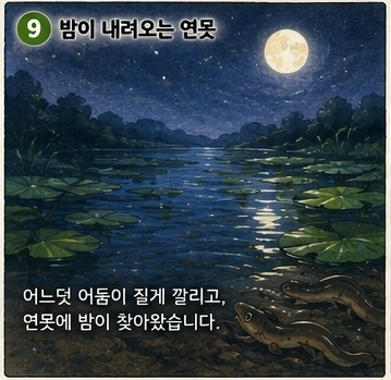 4fddc7d0433dd.jpg