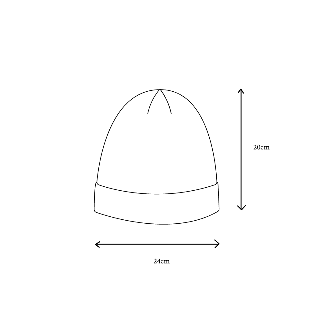 Emblem Beanie