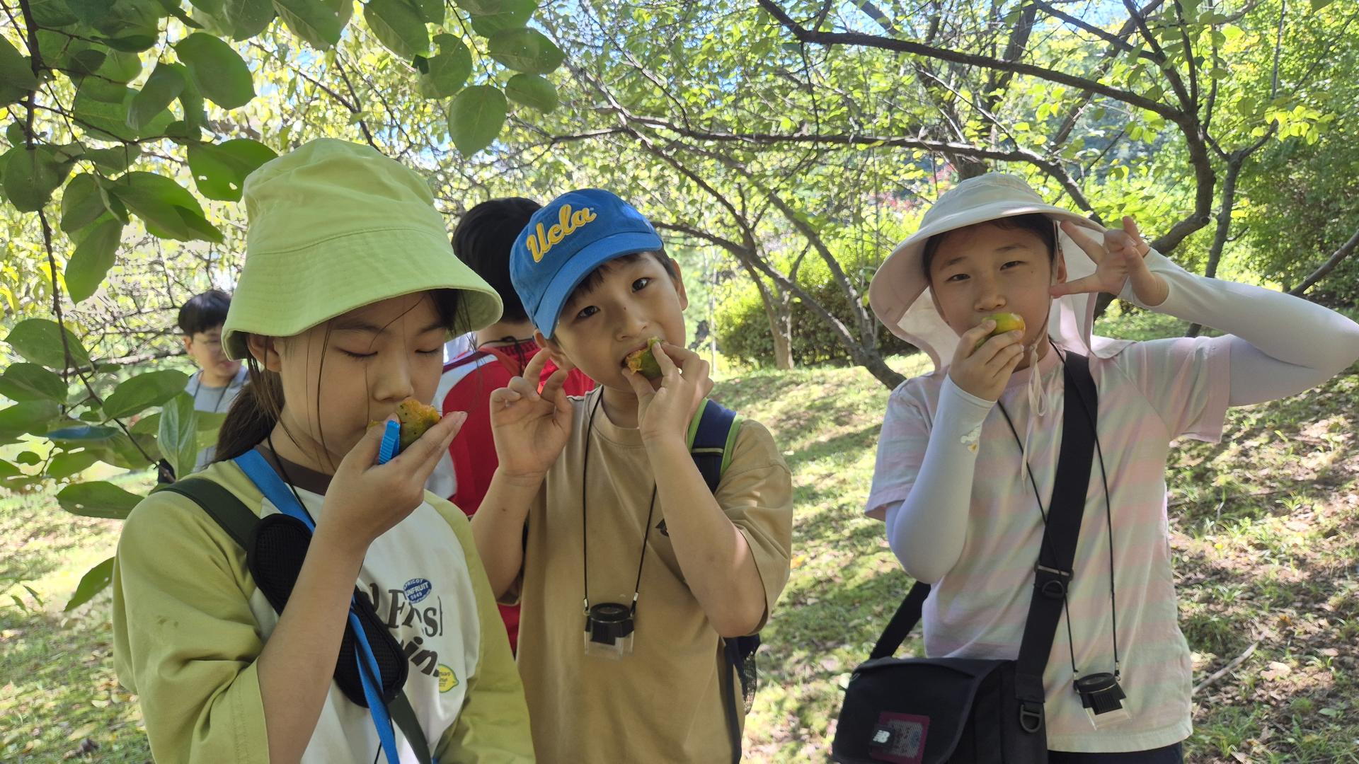 c32624cad5fb6.jpg