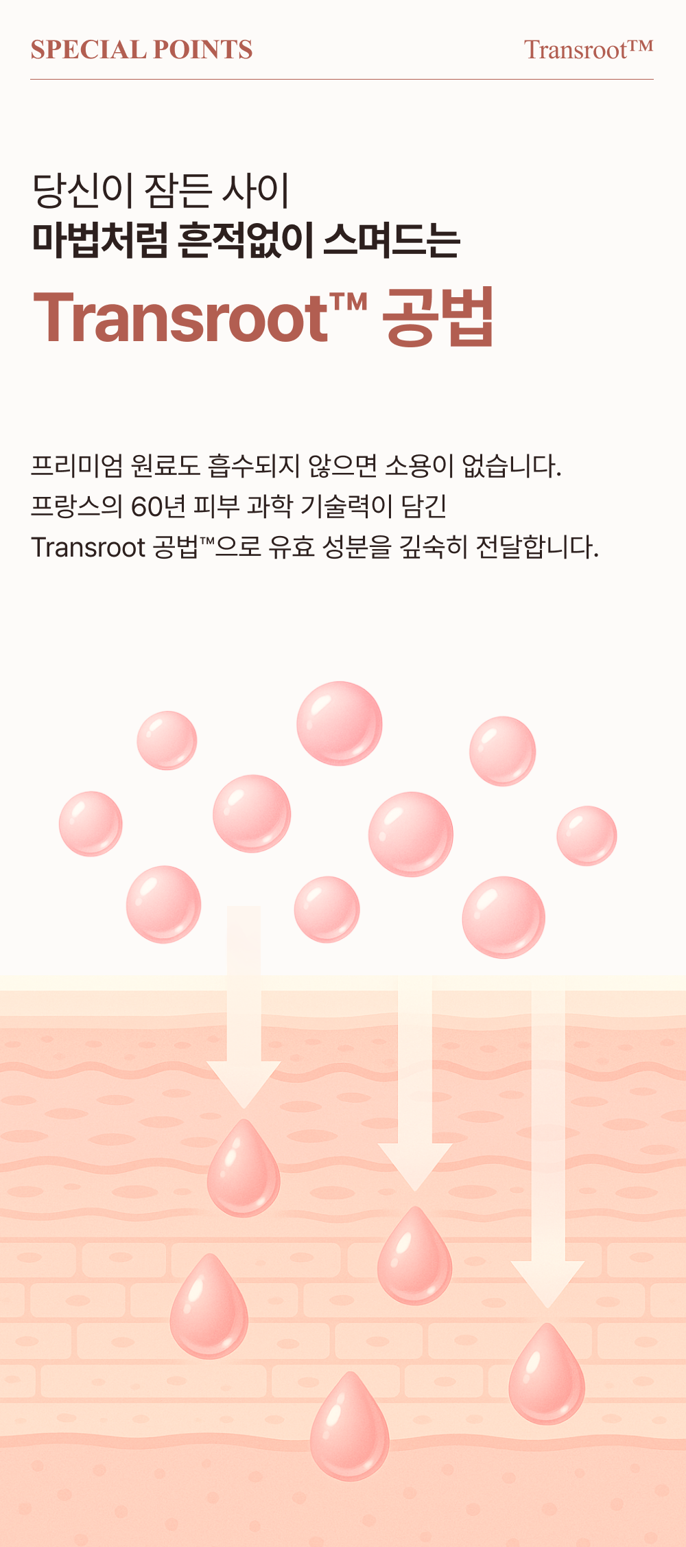 43852fdbdf355.png