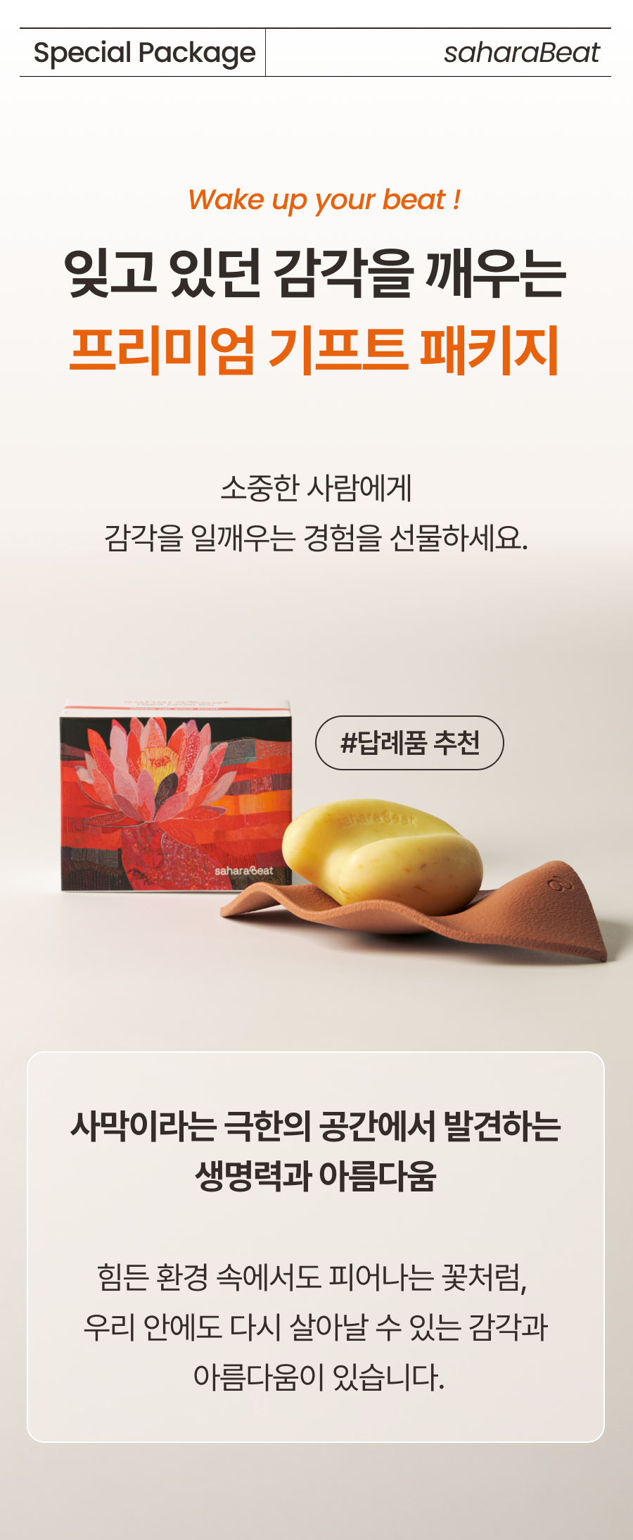 5a834f8704dc9.png