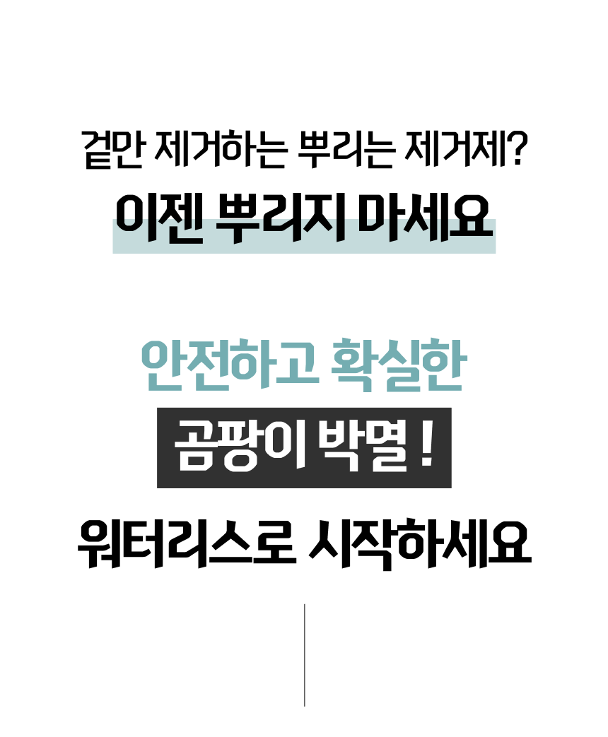 9538a12b581a4.png