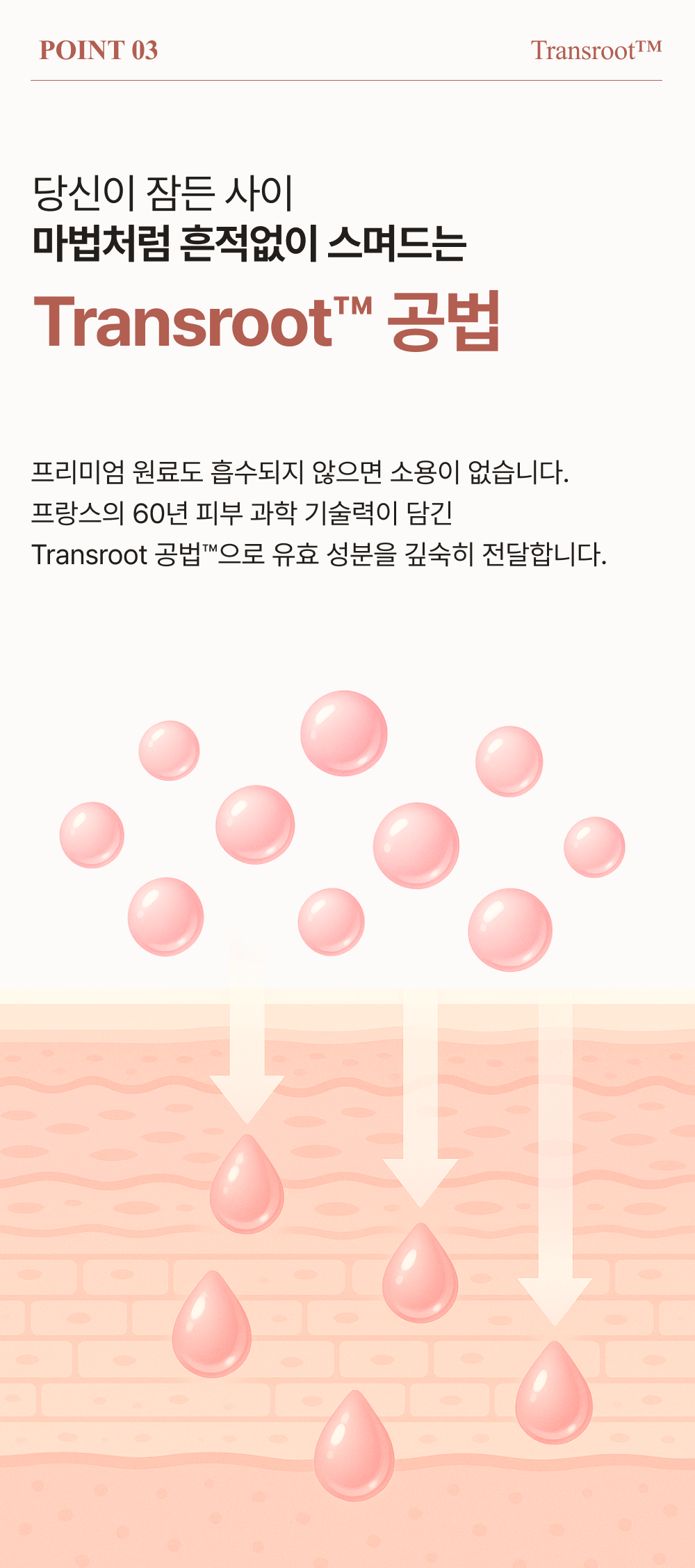 bcc9529159a1e.png