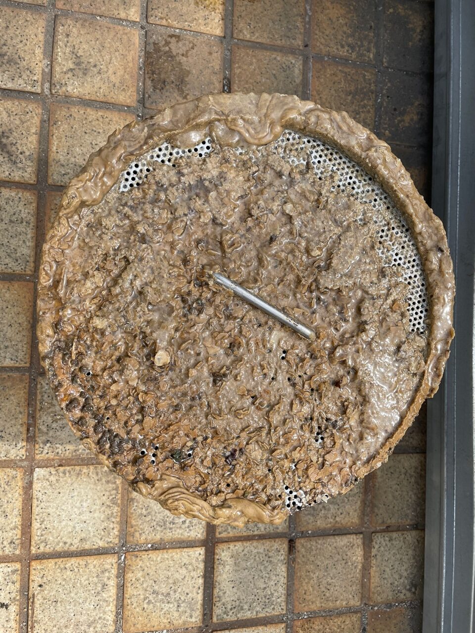 Example of scale removal device removal (Pyeongtaek S Company) : 세종씨아이 ...
