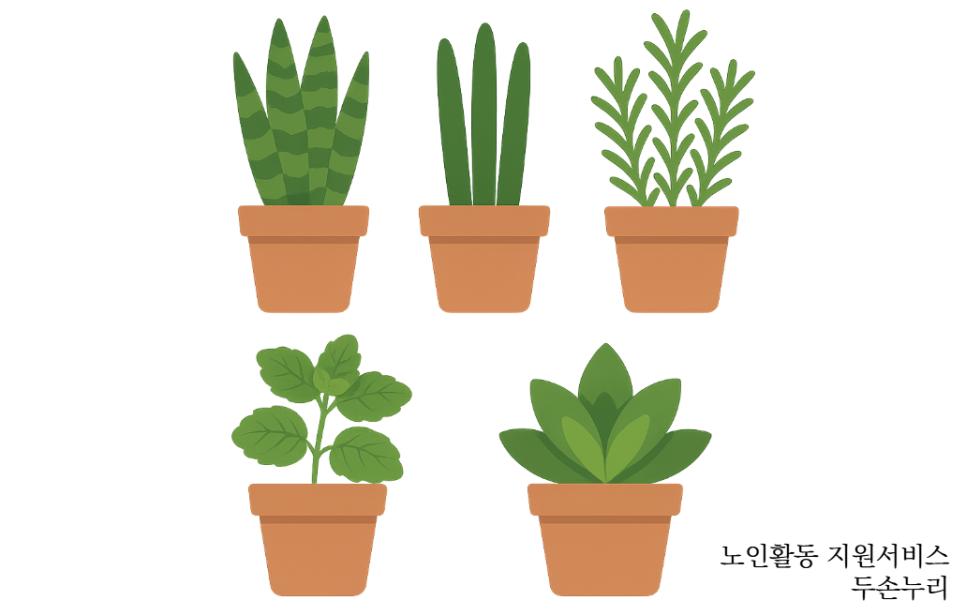 a6ef84684cf8b.png