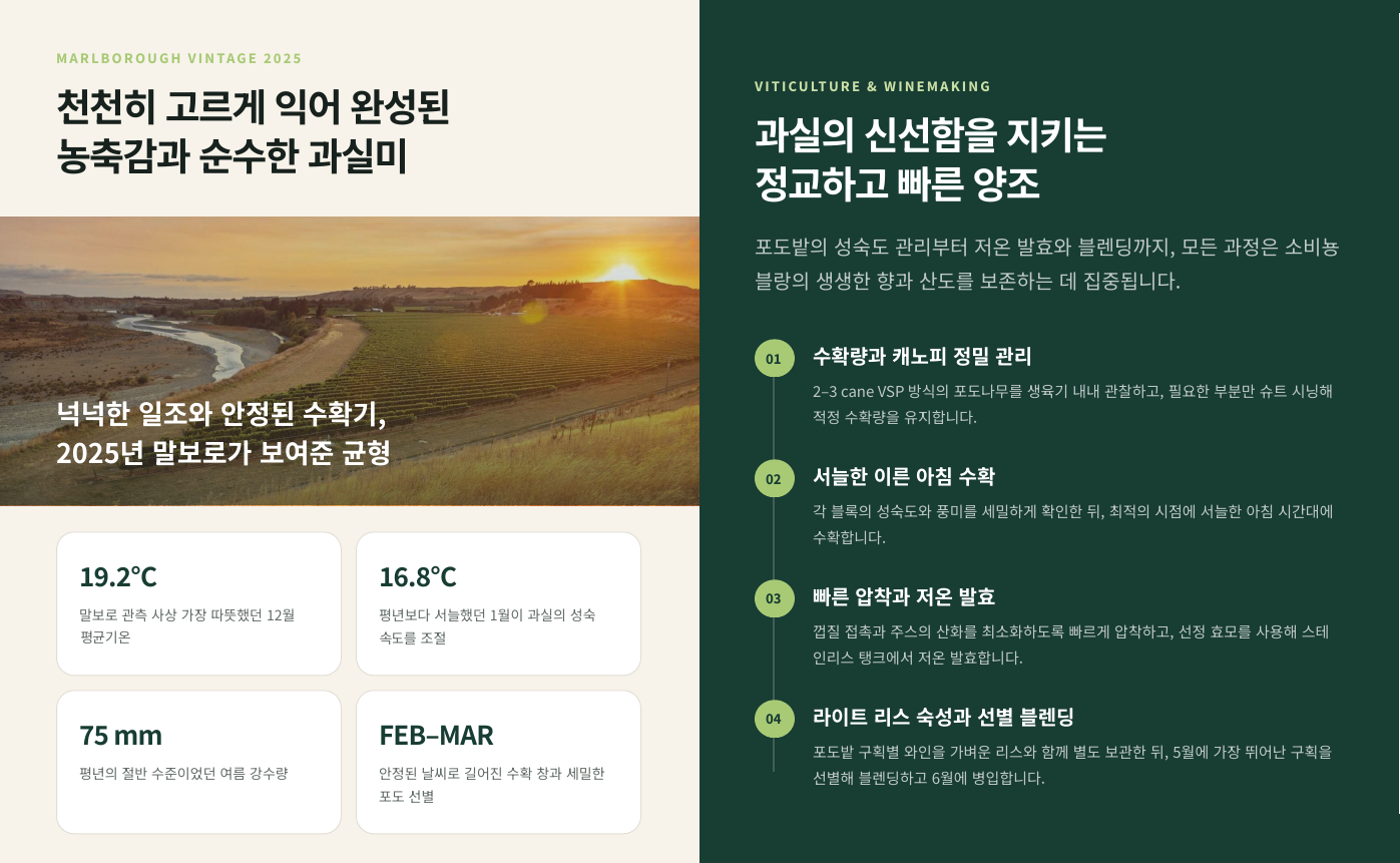 (작업중)말보로 소비뇽 블랑 2025 스타보로