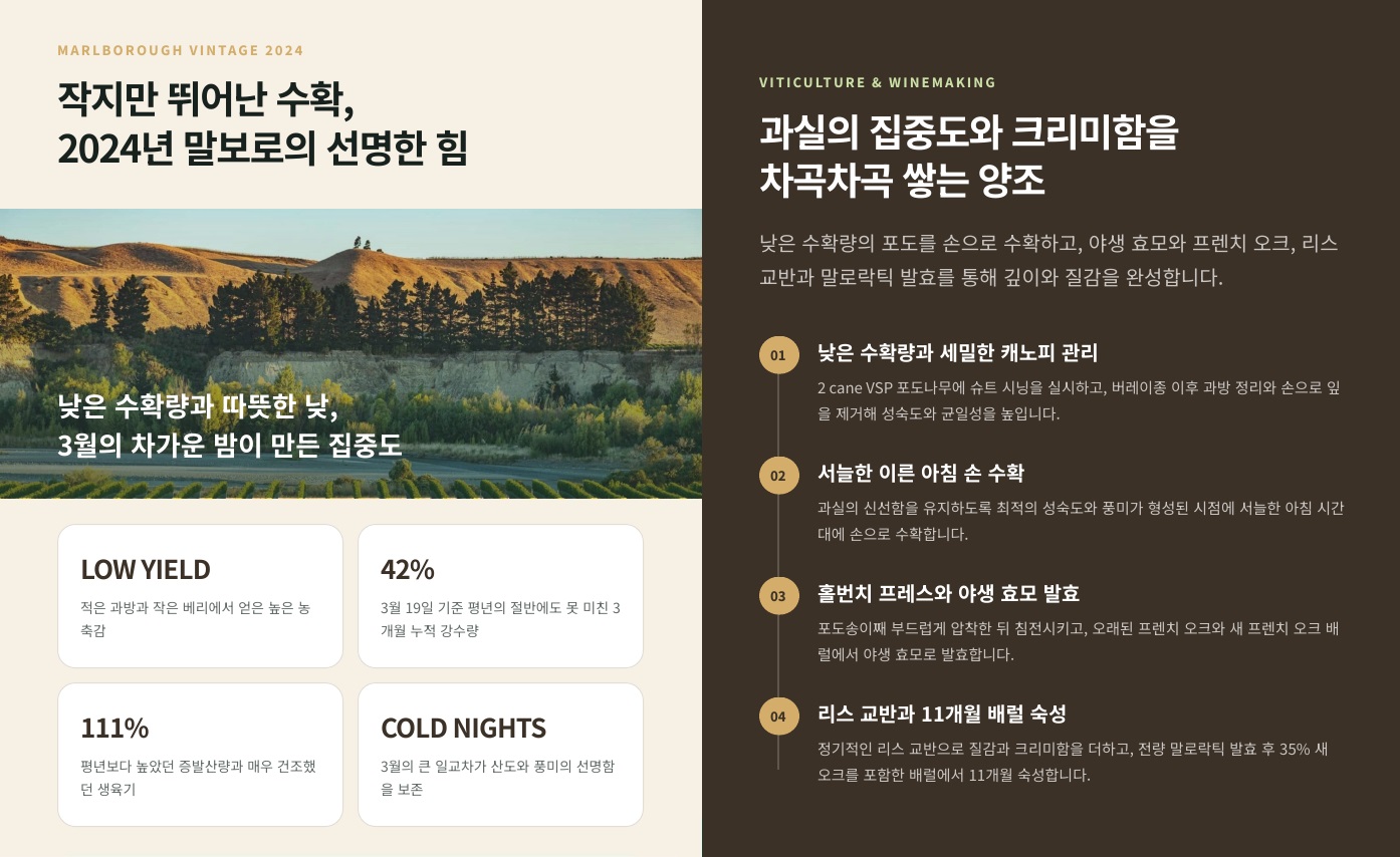 (작업중)말보로 소비뇽 블랑 2025 스타보로