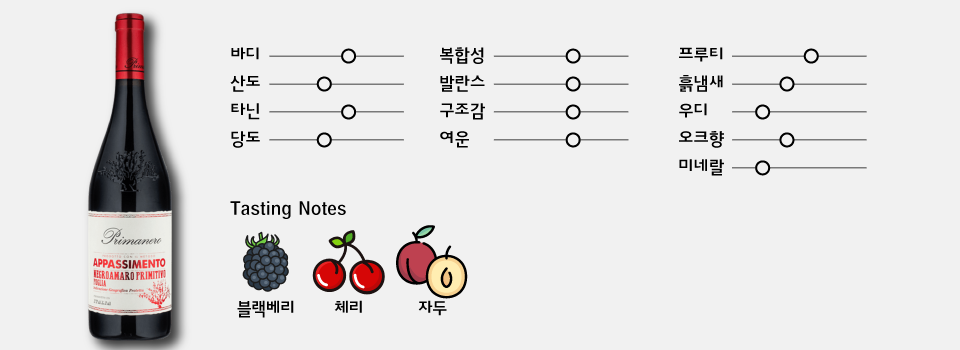 89클럽① 굿와인 3병｜파쏘 알리아니코, 아파시멘토, 스타보로 소비뇽 블랑