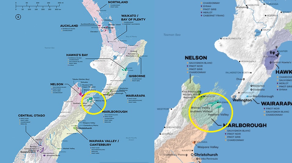 (작업중)말보로 소비뇽 블랑 2025 스타보로