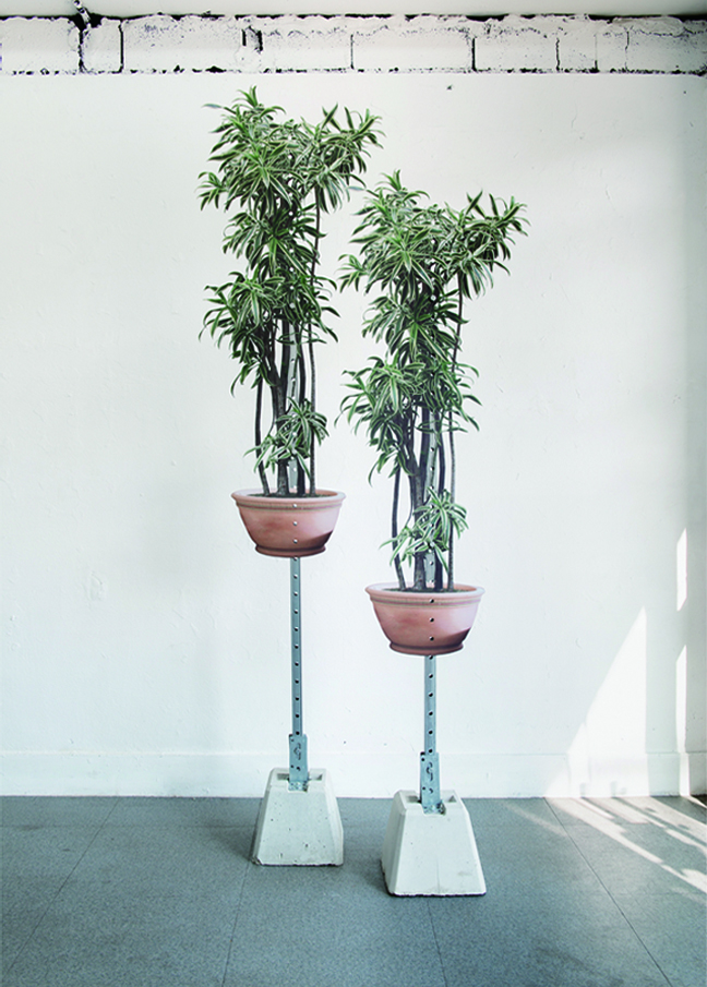 44fd1f8ebd37d.jpg