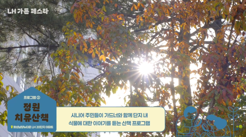 704d39ddeb28f.png