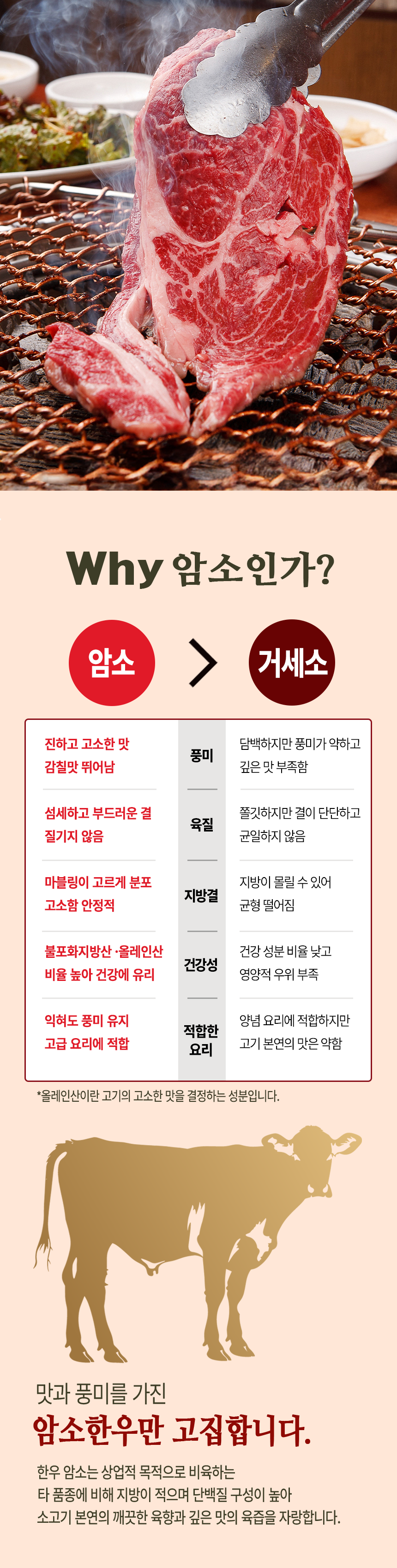 2등급 한우 암소 등심 1팩 200g(냉동)