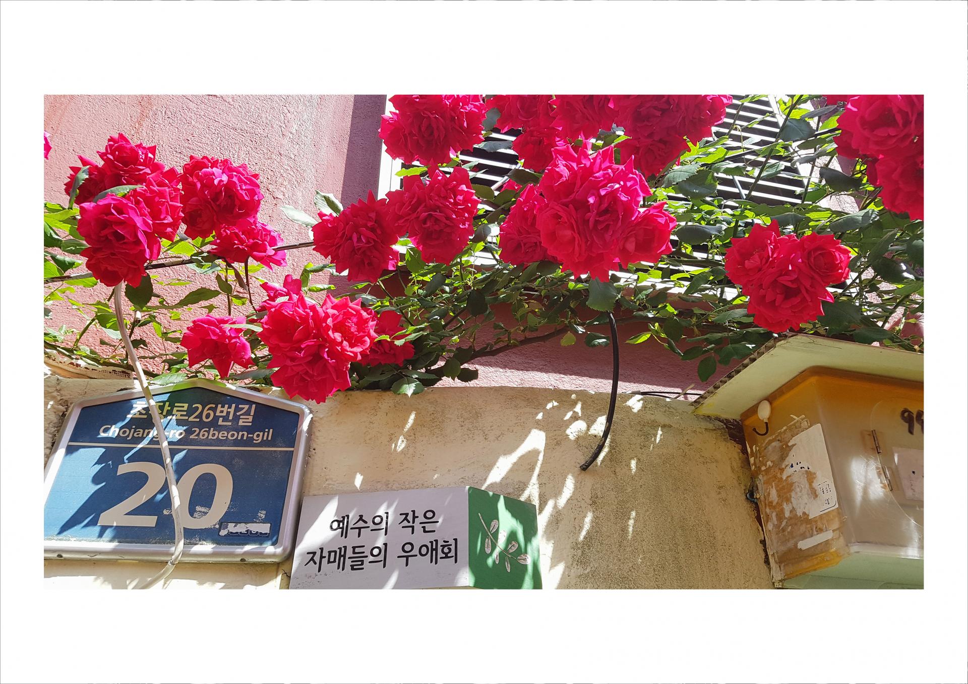 3384fb57b071e.jpg