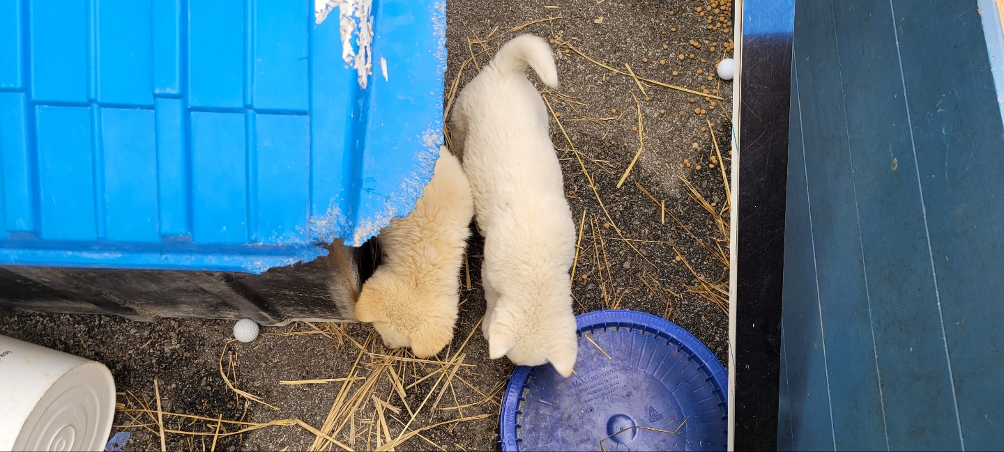 9063d6741a751.png