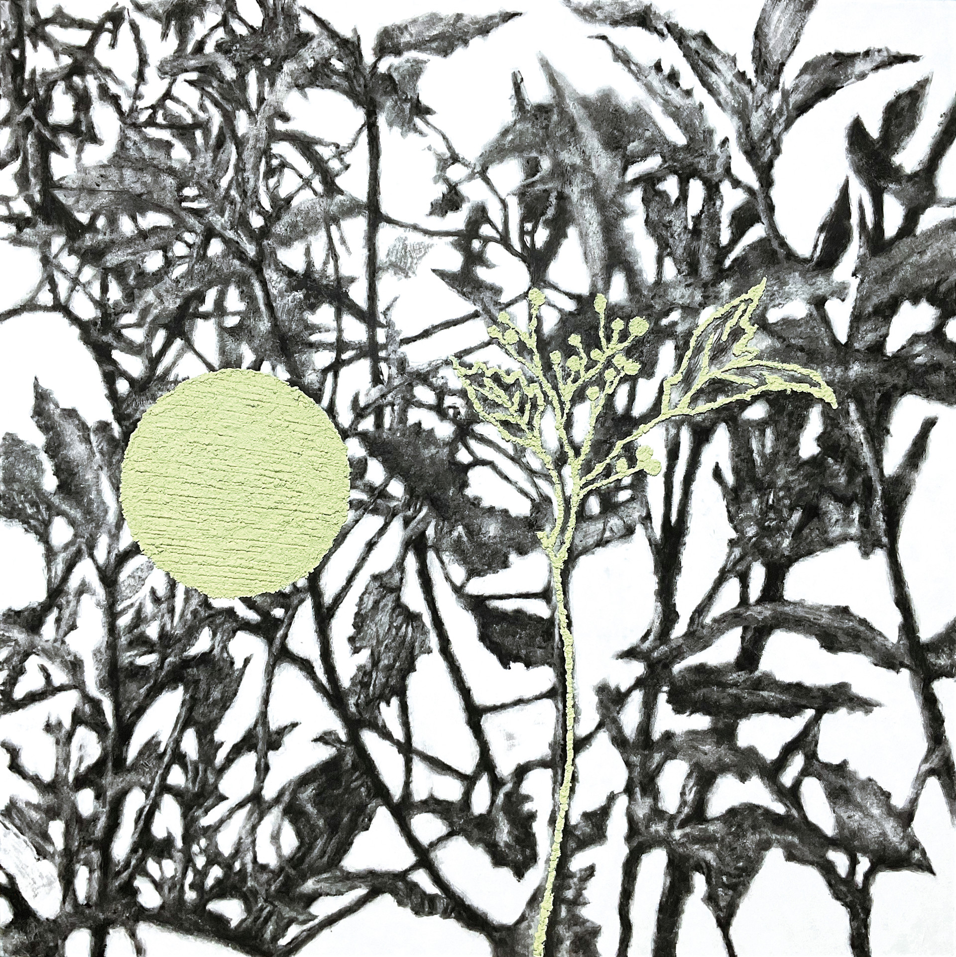 119e50d6a845c.jpg