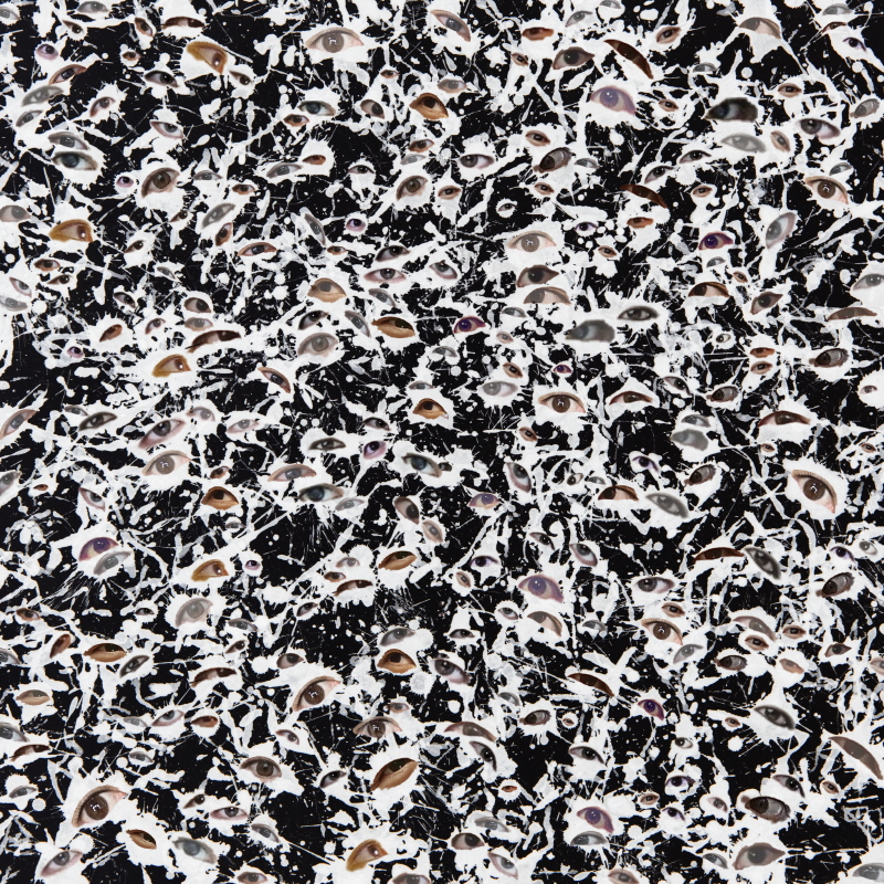 b3fdc364b318e.jpg