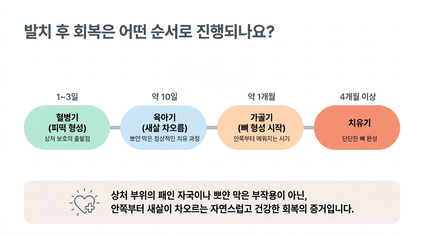 ba2672b834582.png