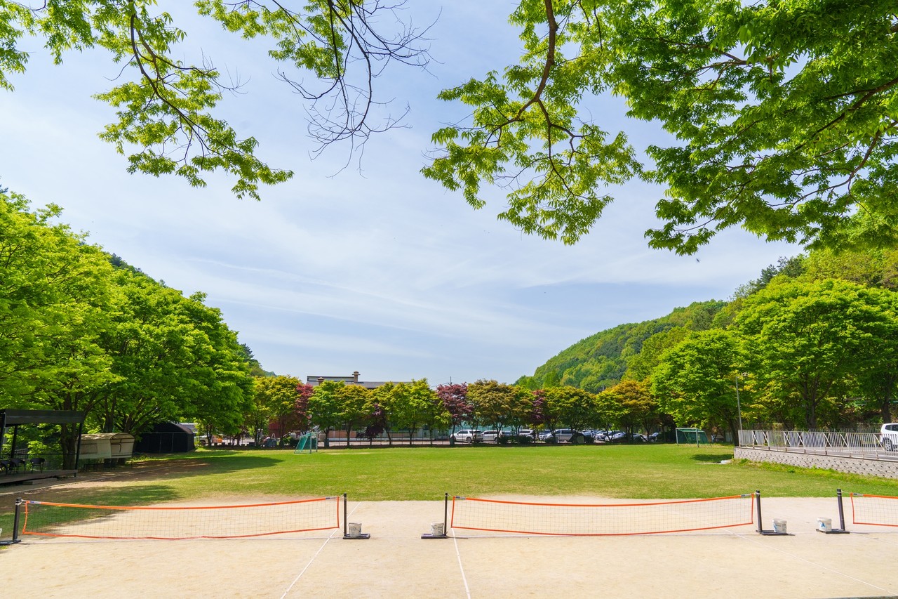 천연잔디구장