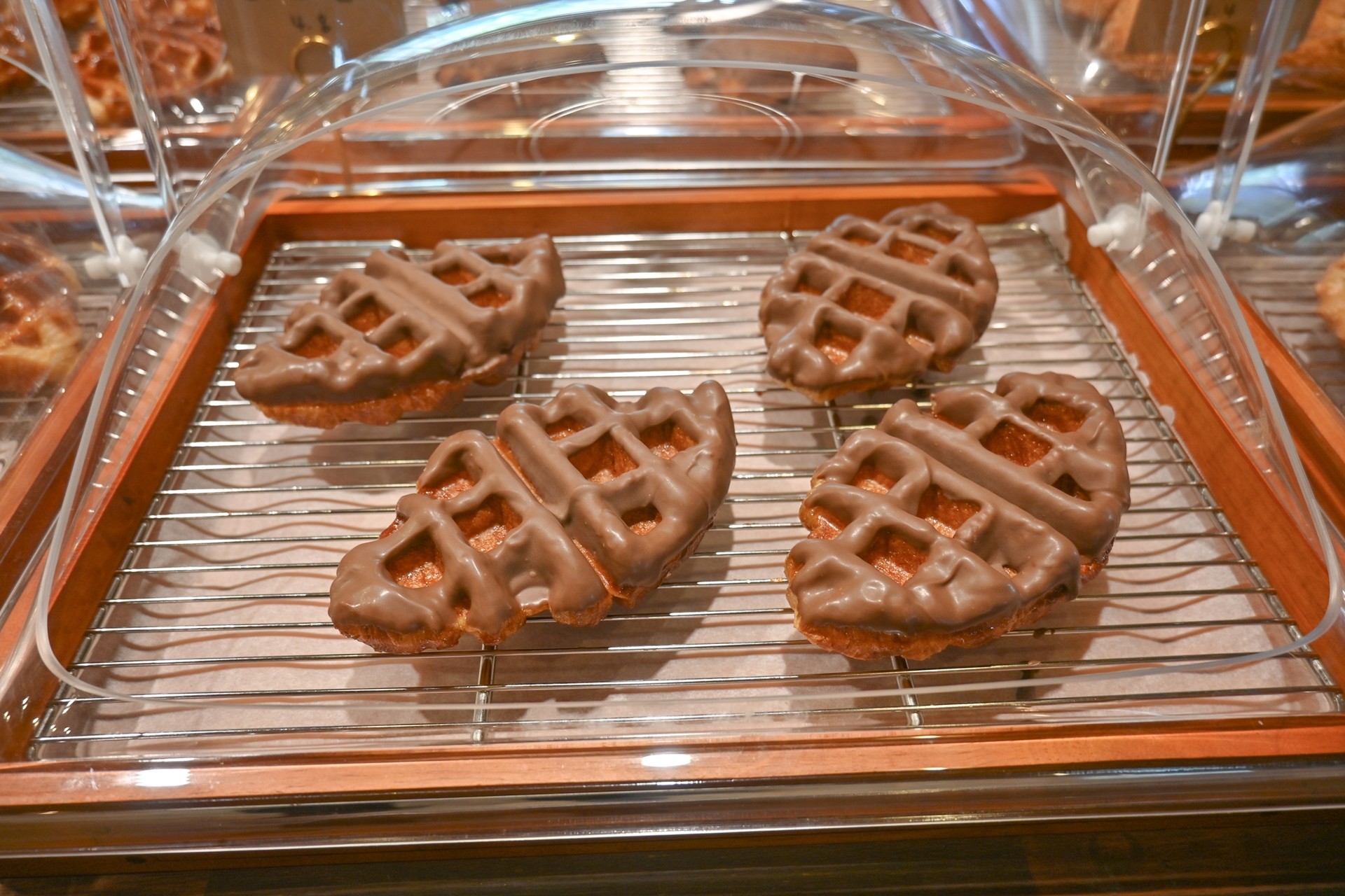 카페 5