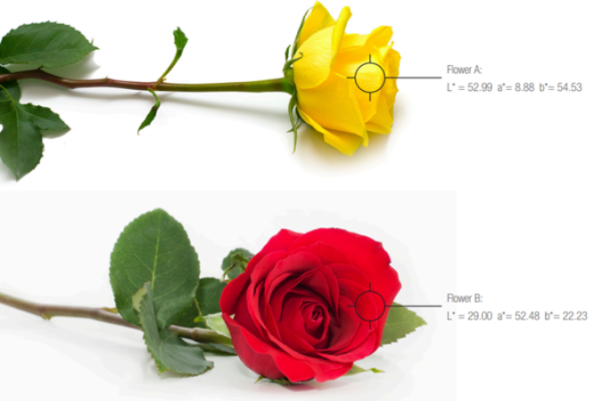 [Color Science] LAB Color Values : x-rite 관련 포럼