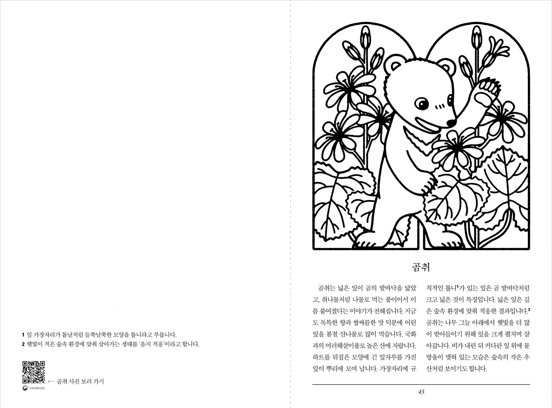 동물 이름 식물책 컬러링북