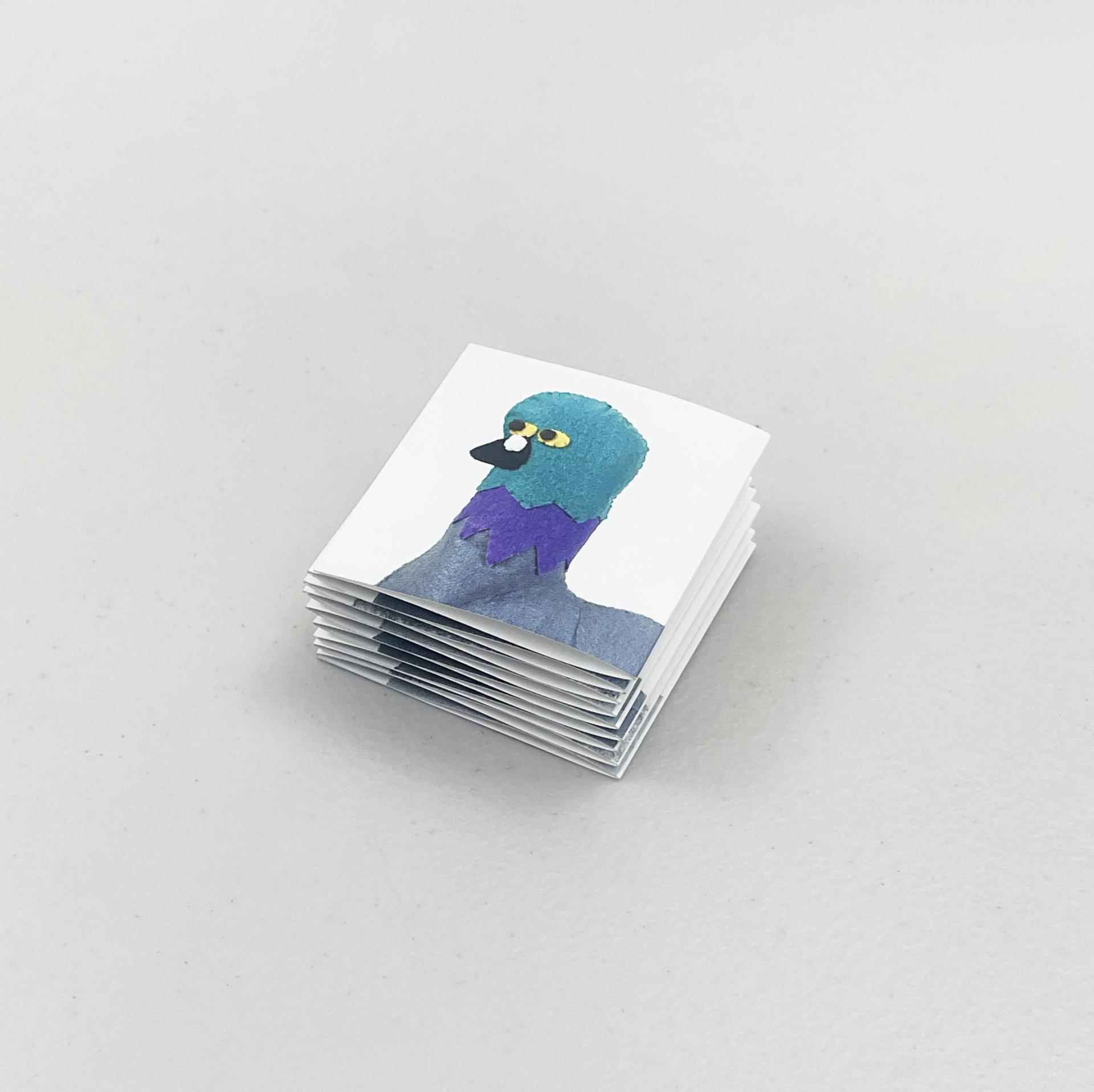 Pigeon Headshot