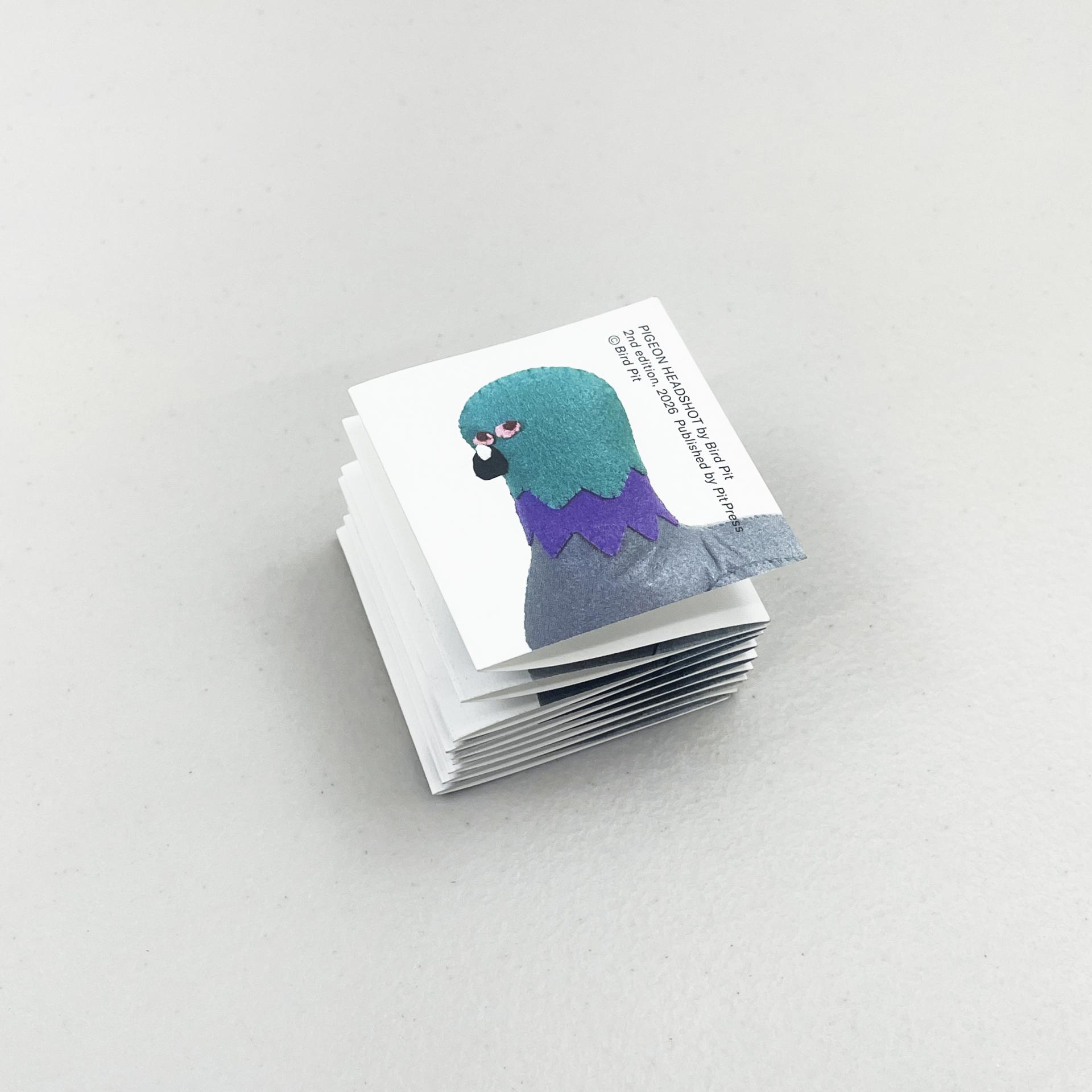 Pigeon Headshot