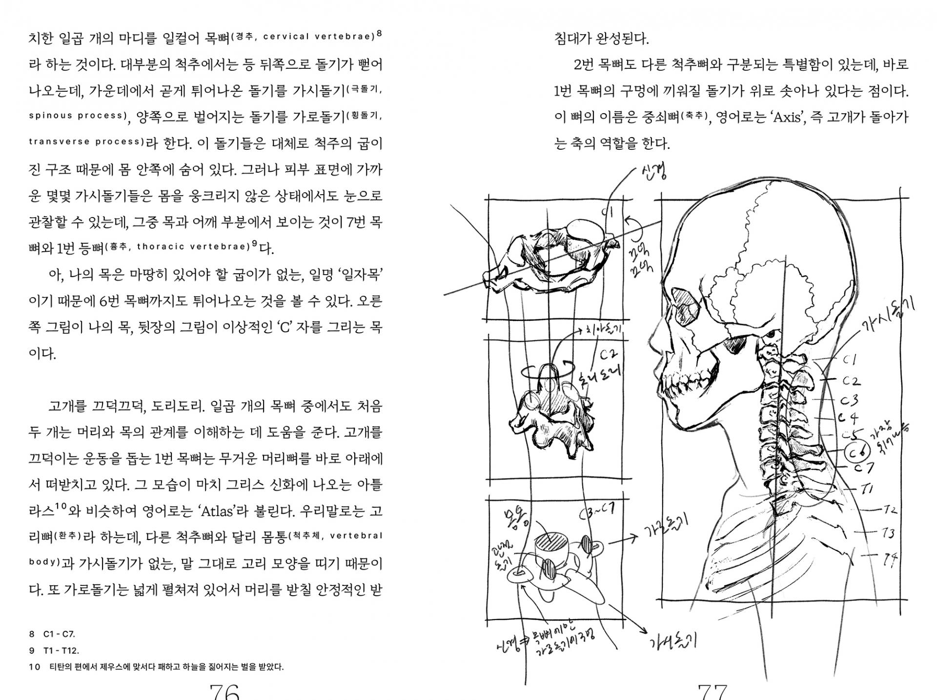 이이오의 인체 드로잉 연구록 1: 얼굴