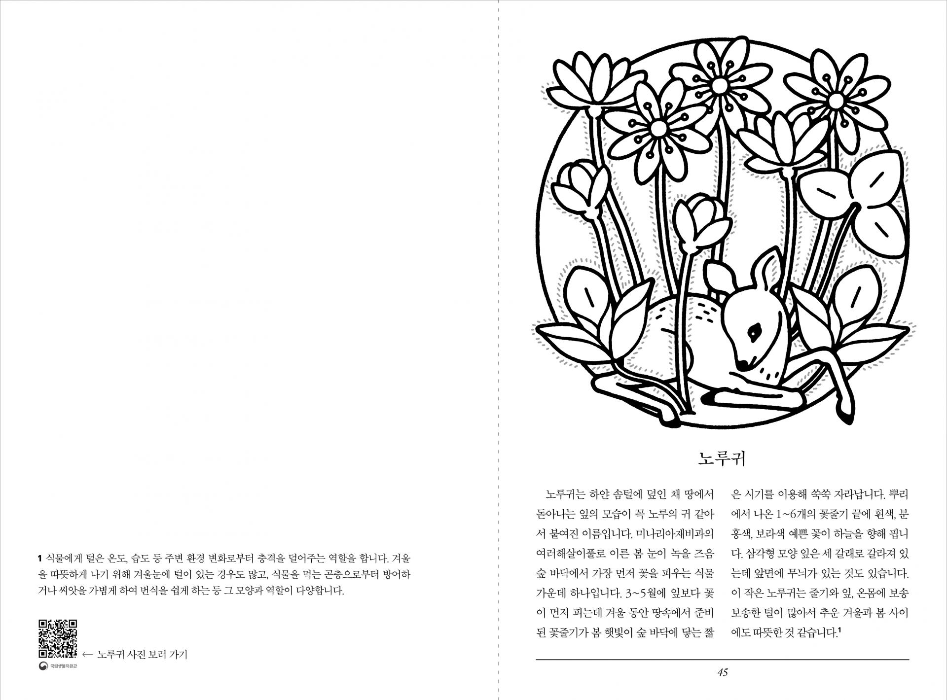 동물 이름 식물책 컬러링북
