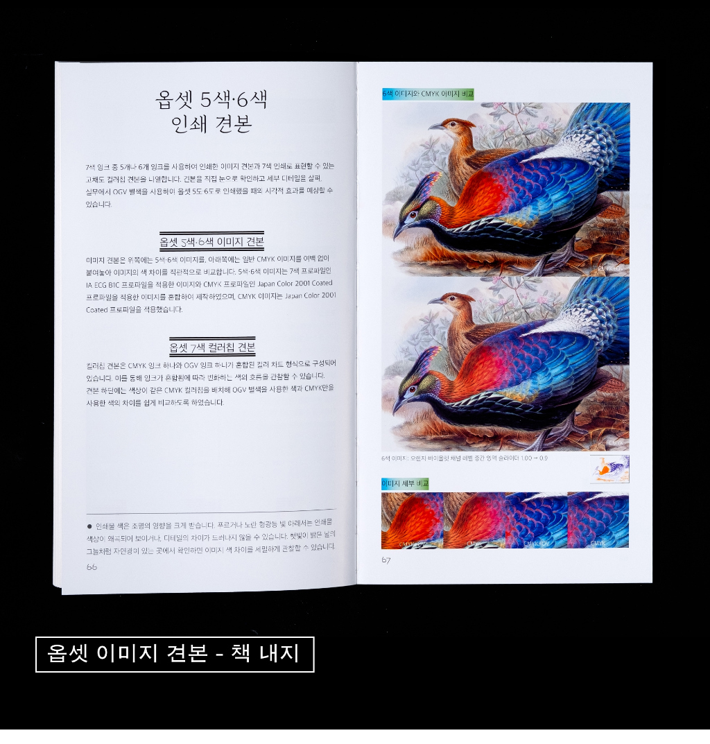 모어 블루 (버드인페이지)