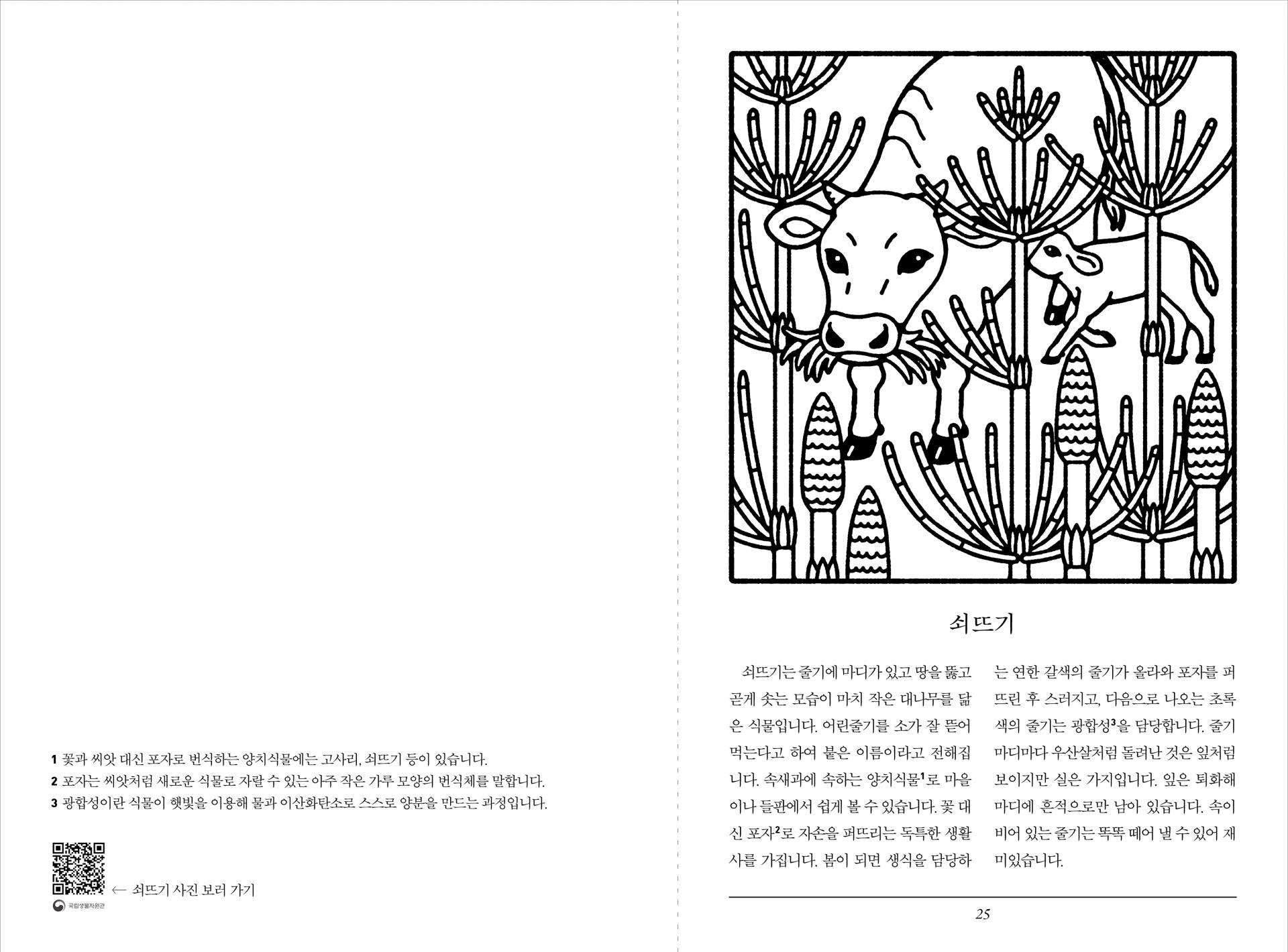 동물 이름 식물책 컬러링북