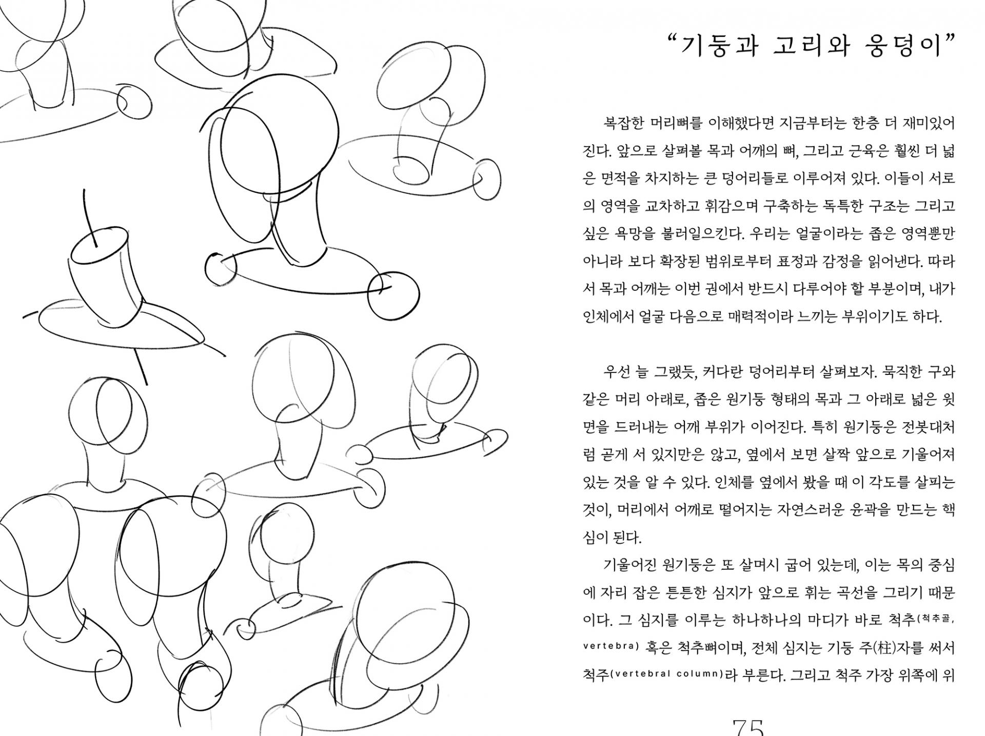 이이오의 인체 드로잉 연구록 1: 얼굴