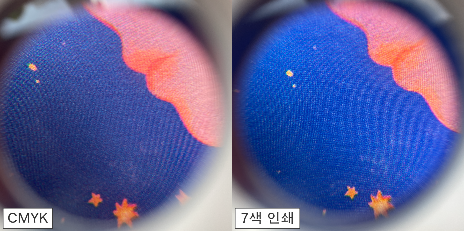모어 블루 (버드인페이지)