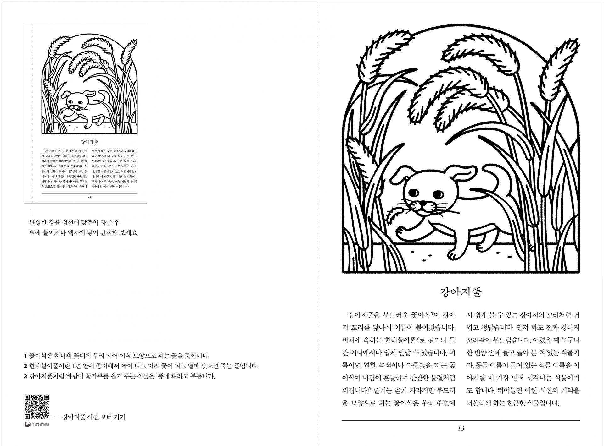동물 이름 식물책 컬러링북