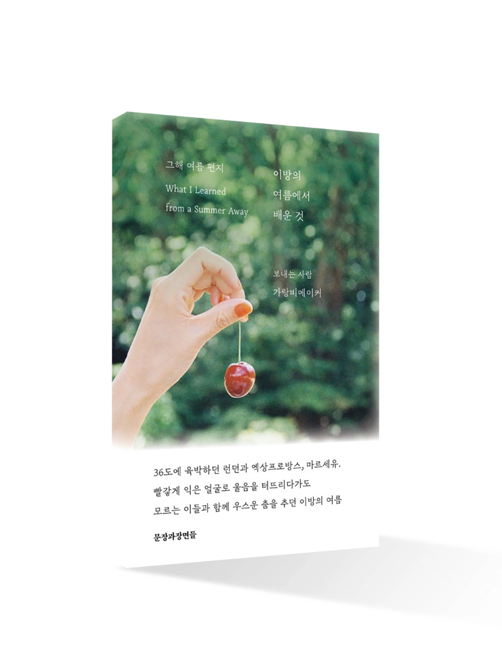 이방의 여름에서 배운 것 (개정판) (문장과장면들)