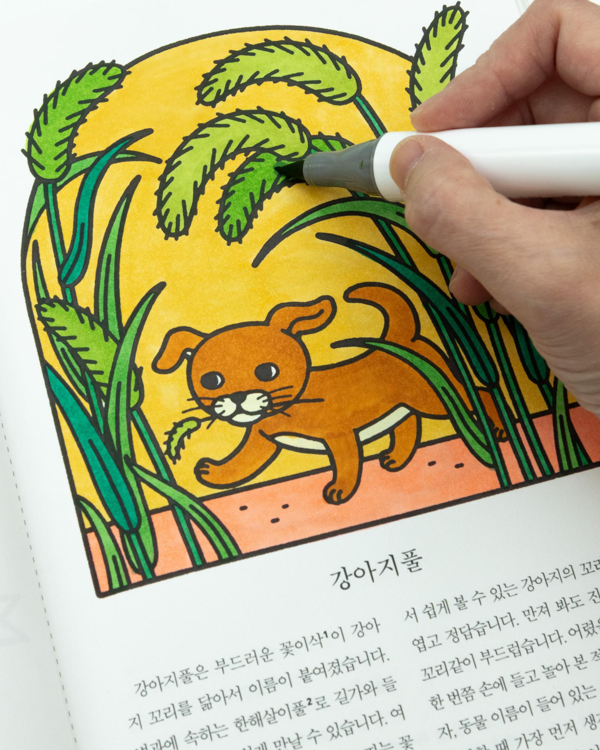 동물 이름 식물책 컬러링북