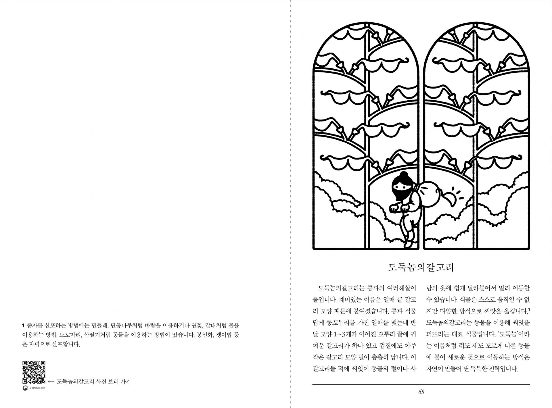 동물 이름 식물책 컬러링북